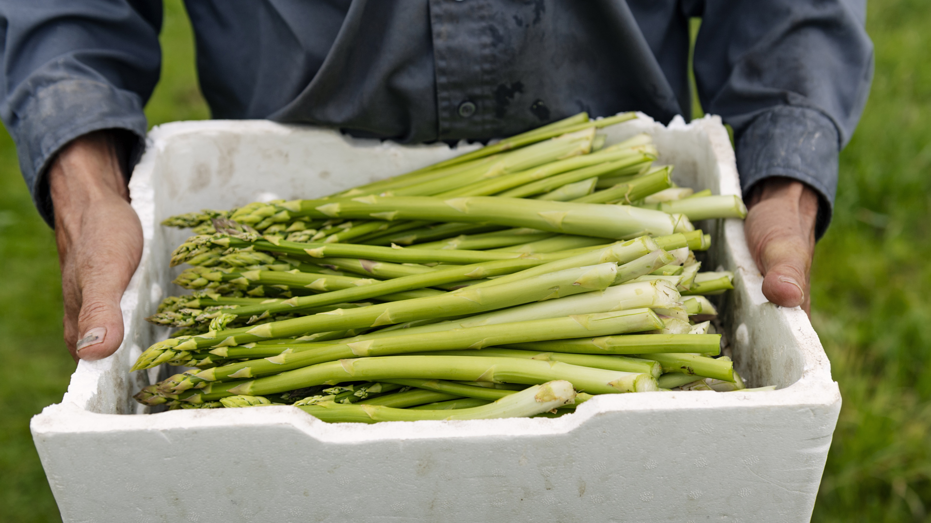 Farms To Table Asparagus